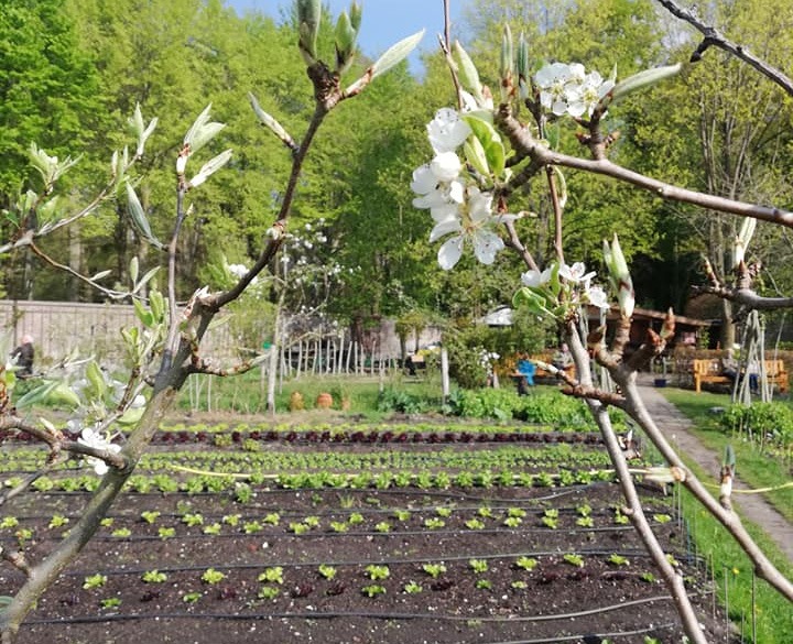 De Ommuurde Tuin begin april weer open