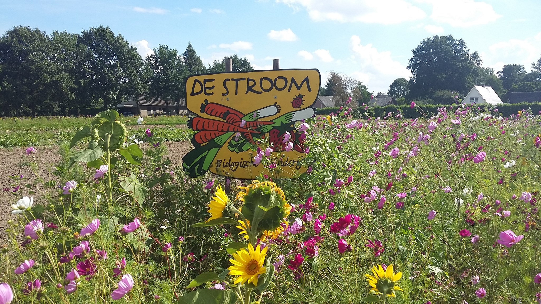  Open middag Tuinderij de Stroom