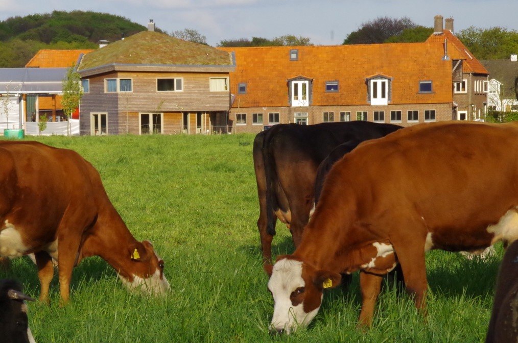 Veld & Beek riskeert land