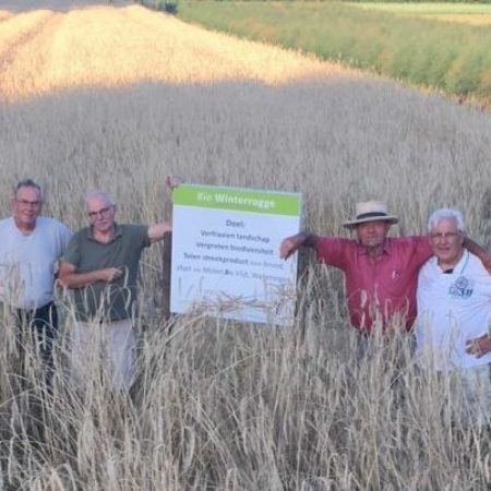 Korenschoof_Mannen-1038x576-nog toestemming vragen
