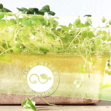 Microgreens Holland-nog toestemming vragen